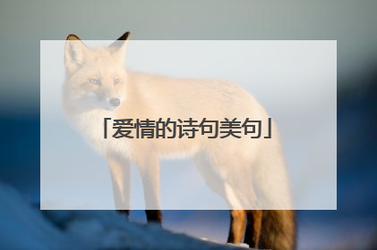 爱情的诗句美句