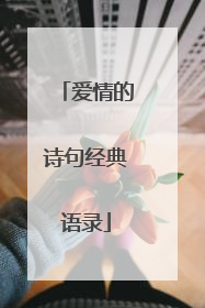 爱情的诗句经典语录