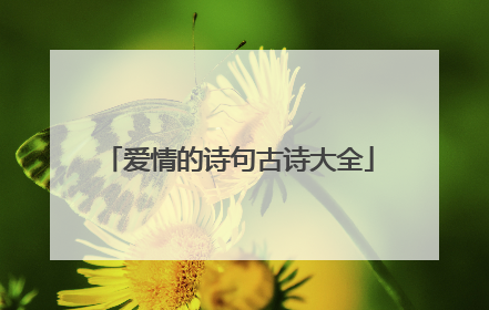 爱情的诗句古诗大全