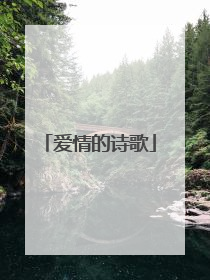 爱情的诗歌