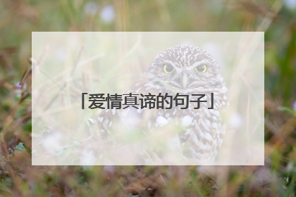 爱情真谛的句子