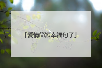 爱情简短幸福句子