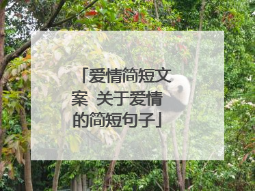 爱情简短文案 关于爱情的简短句子