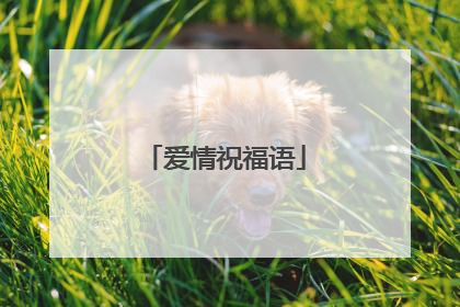 爱情祝福语