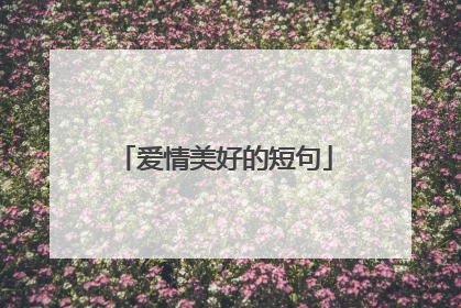 爱情美好的短句
