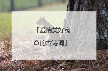 爱情美好寓意的古诗词