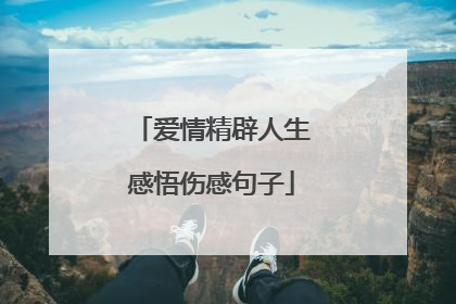 爱情精辟人生感悟伤感句子