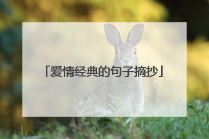 爱情经典的句子摘抄