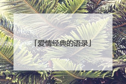 爱情经典的语录