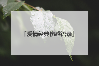 爱情经典伤感语录