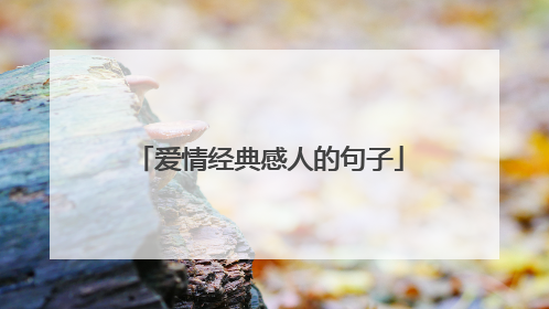 爱情经典感人的句子