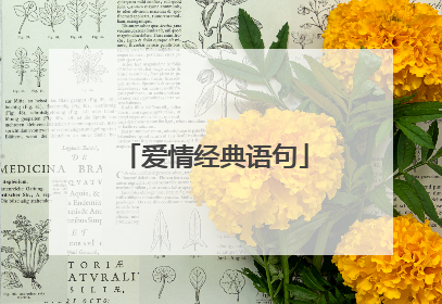 爱情经典语句