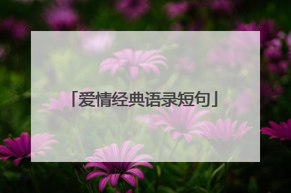 爱情经典语录短句