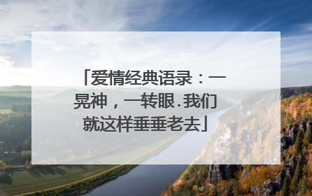 爱情经典语录：一晃神，一转眼.我们就这样垂垂老去