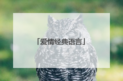 爱情经典语言