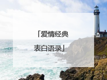 爱情经典表白语录