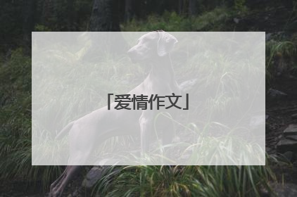 爱情作文