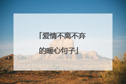 爱情不离不弃的暖心句子