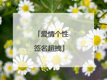 爱情个性签名超拽