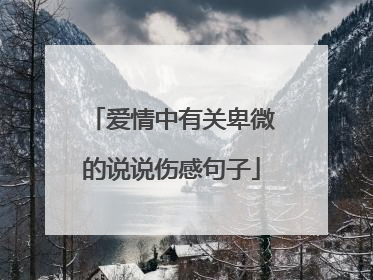 爱情中有关卑微的说说伤感句子