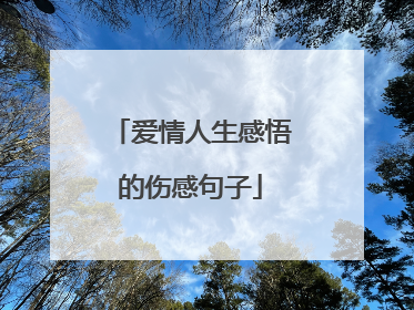 爱情人生感悟的伤感句子