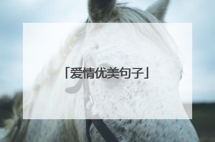 爱情优美句子