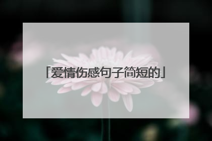 爱情伤感句子简短的