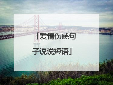 爱情伤感句子说说短语