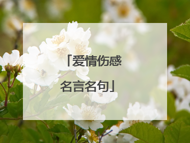 爱情伤感名言名句