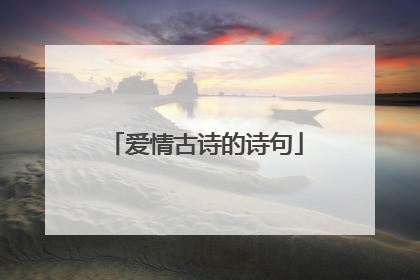 爱情古诗的诗句