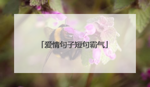 爱情句子短句霸气