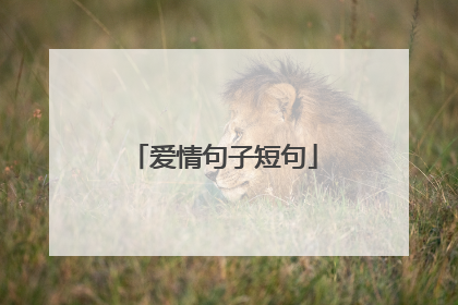 爱情句子短句