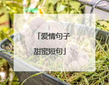 爱情句子甜蜜短句