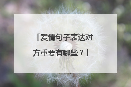 爱情句子表达对方重要有哪些？