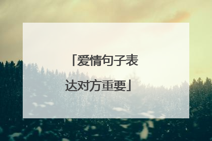 爱情句子表达对方重要