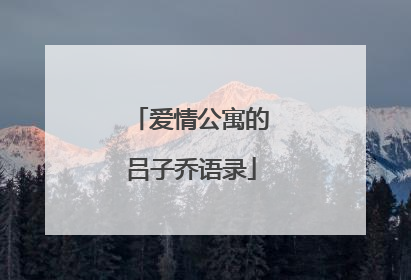 爱情公寓的吕子乔语录