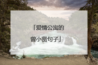 爱情公寓的曾小贤句子