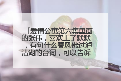 爱情公寓第六集里面的张伟,喜欢上了默默,有句什么春风佛过泸沽湖的台词,可以告诉我完整的吗?
