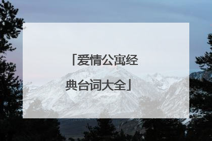 爱情公寓经典台词大全