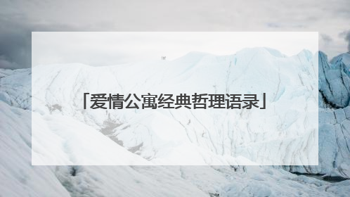 爱情公寓经典哲理语录