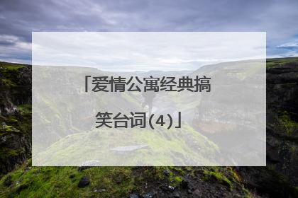 爱情公寓经典搞笑台词(4)