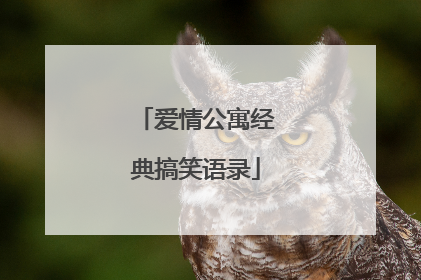 爱情公寓经典搞笑语录