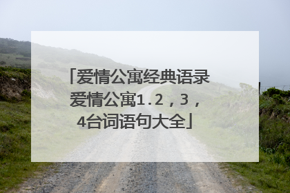 爱情公寓经典语录 爱情公寓1.2,3,4台词语句大全