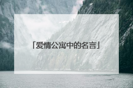 爱情公寓中的名言