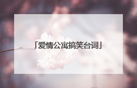 爱情公寓搞笑台词
