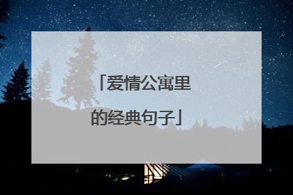 爱情公寓里的经典句子