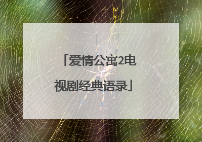 爱情公寓2电视剧经典语录