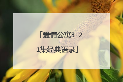 爱情公寓3 21集经典语录