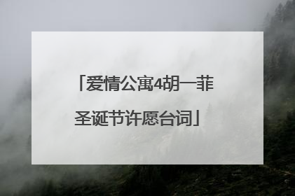 爱情公寓4胡一菲圣诞节许愿台词