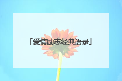 爱情励志经典语录